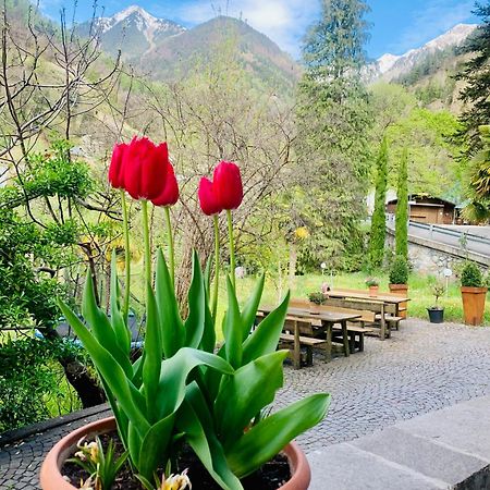 Tannerhof Bed & Breakfast Caines Exteriör bild