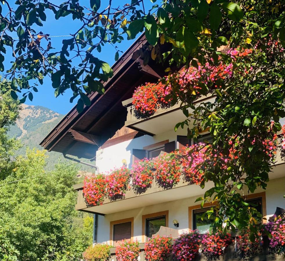 Tannerhof Bed & Breakfast Caines Exteriör bild