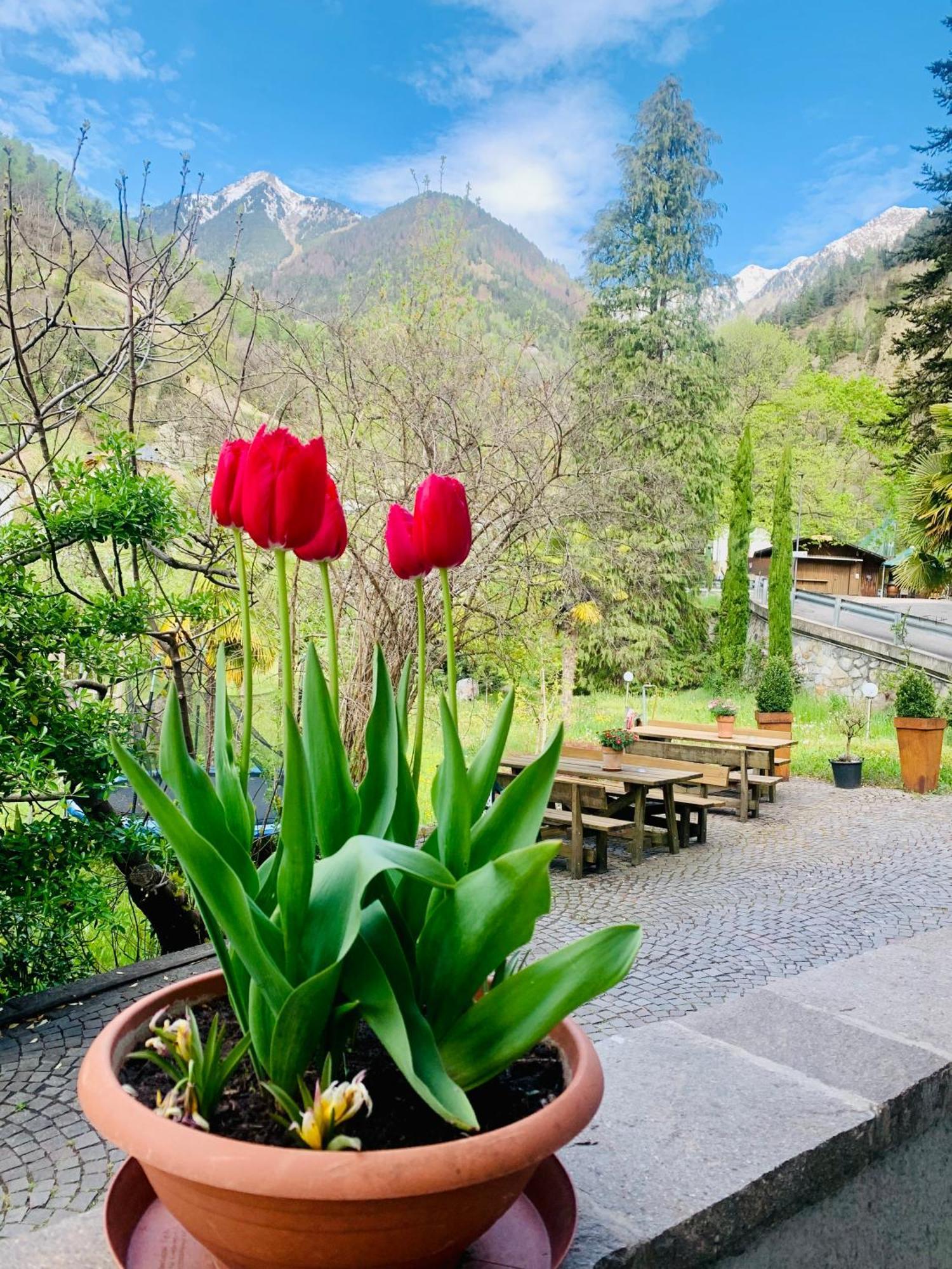 Tannerhof Bed & Breakfast Caines Exteriör bild