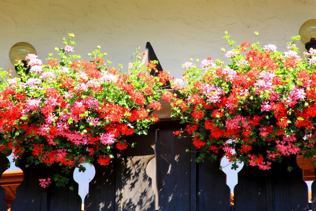 Tannerhof Bed & Breakfast Caines Exteriör bild