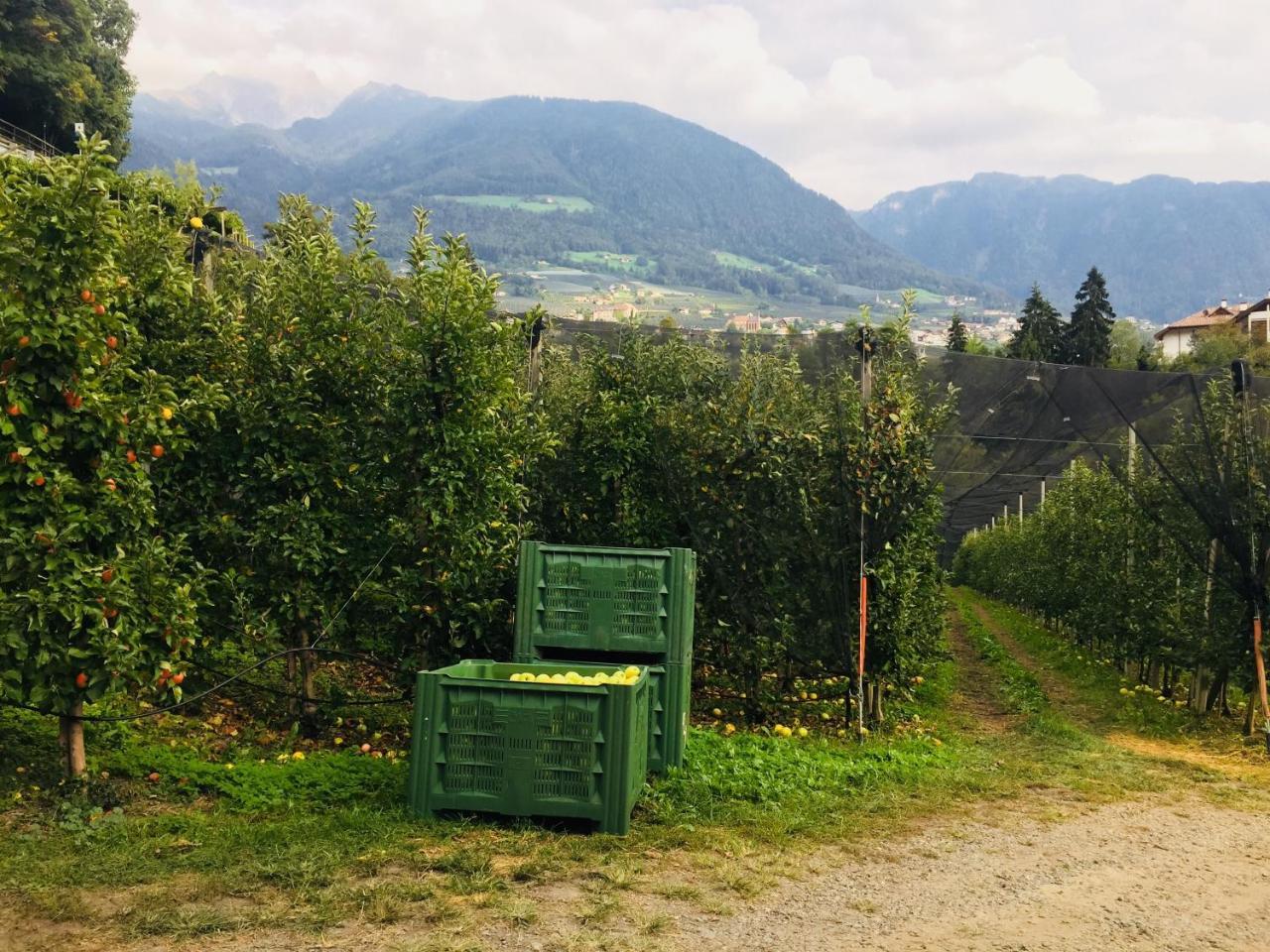 Tannerhof Bed & Breakfast Caines Exteriör bild